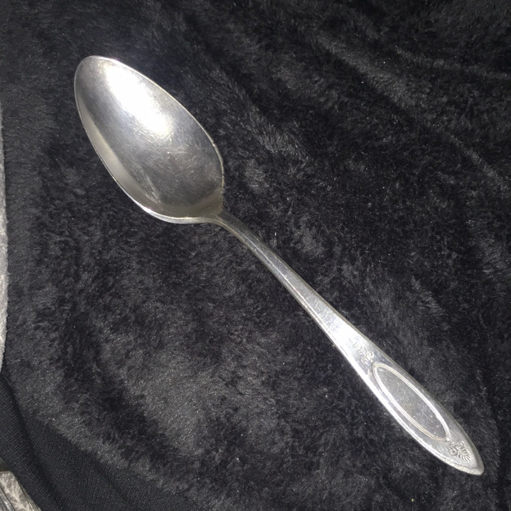 Community Plate large size serving spoon